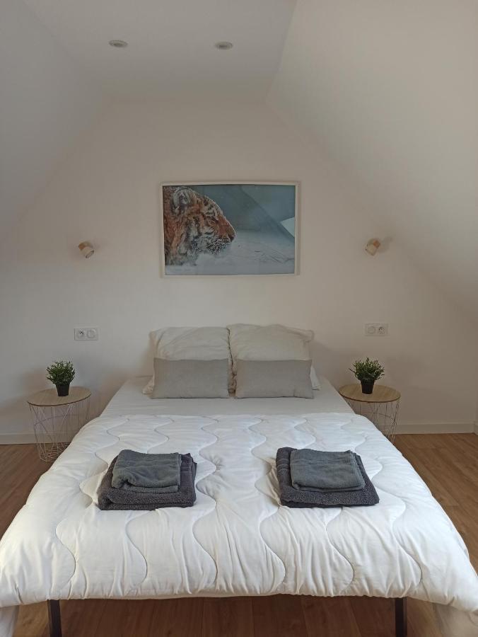 A 4 Min Du Zoo De Beauval La Maison A Partager Ch4 2Eme Etage Saint-Aignan  Exterior photo