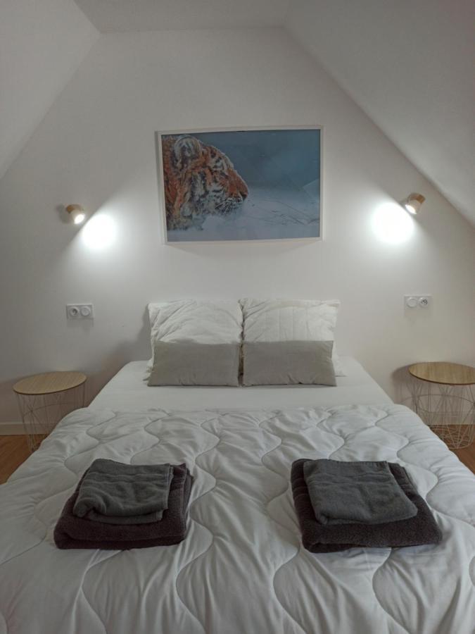 A 4 Min Du Zoo De Beauval La Maison A Partager Ch4 2Eme Etage Saint-Aignan  Exterior photo